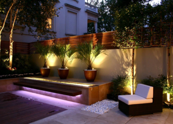 Garden plot: light in the night