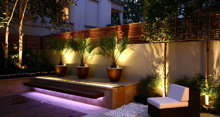 Garden plot: light in the night