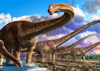 Цікаве знайомство з найбільшими динозаврами: доісторичні гіганти