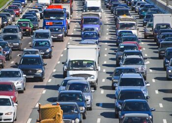 License plate search services: key aspects and recommendations