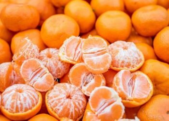 Чим корисні мандарини: джерело вітамінів і мінералів для профілактики багатьох хвороб