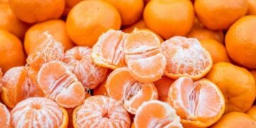 Чим корисні мандарини: джерело вітамінів і мінералів для профілактики багатьох хвороб