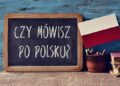 Грамматика польского языка: где ее изучать