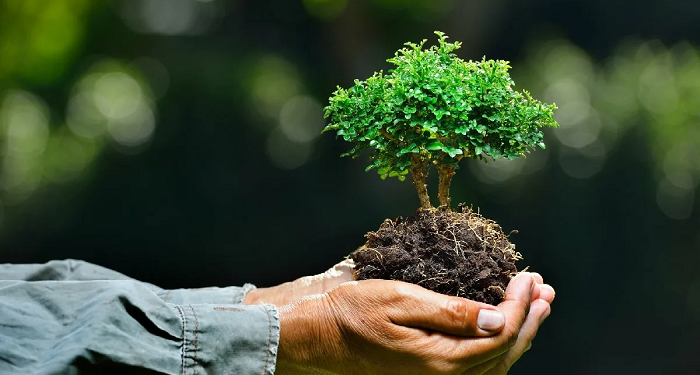 Соціальні наслідки екологічних криз: виклики та можливості