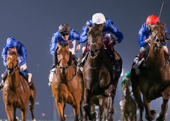 Самые известные скакуны мира: биография и интересные факты