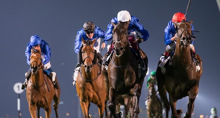 Самые известные скакуны мира: биография и интересные факты