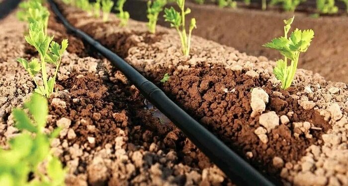 Крапельна стрічка для грамотної організації поливу – ключові переваги та вибір