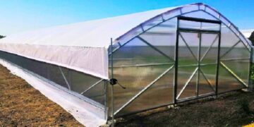 Зимняя теплица: от выбора конструкции до выращивания культур
