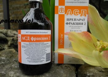 Препарат АСД 2 фракция Армавир для лечения животных: преимущества и применение