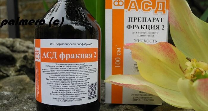 Препарат АСД 2 фракция Армавир для лечения животных: преимущества и применение