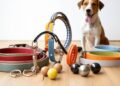 Как выбирать товары для питомцев: основные критерии и рекомендации